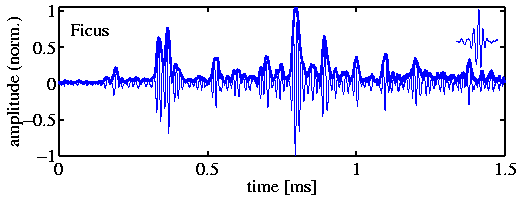 echo waveform example for ficus