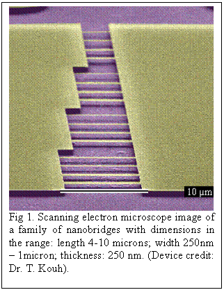 Text Box:    <b>Fig 1.</b> Scanning electron microscope image of a family of nanobridges 
  with dimensions in the range: length 4-10 microns; width 250nm – 1micron; 
  thickness: 250 nm. (Device credit: Dr. T. Kouh).