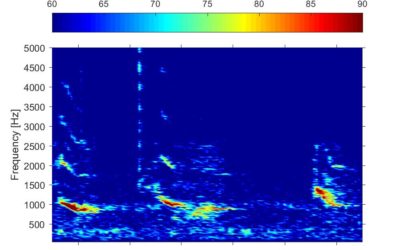 Seasonal patterns in marine mammal vocalizations in the western Canadian Arctic – William D. Halliday, Stephen J. Insley, Xavier Mouy