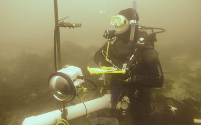 1pAB4 – Combining underwater photography and passive acoustics to monitor fish  –  Camille Pagniello