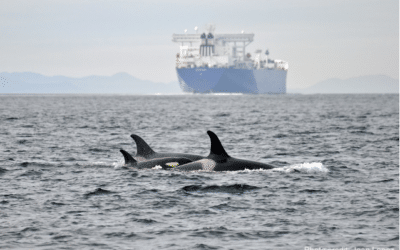 4aAB7 – Slower ships, quieter oceans: Reducing underwater noise to support endangered killer whales