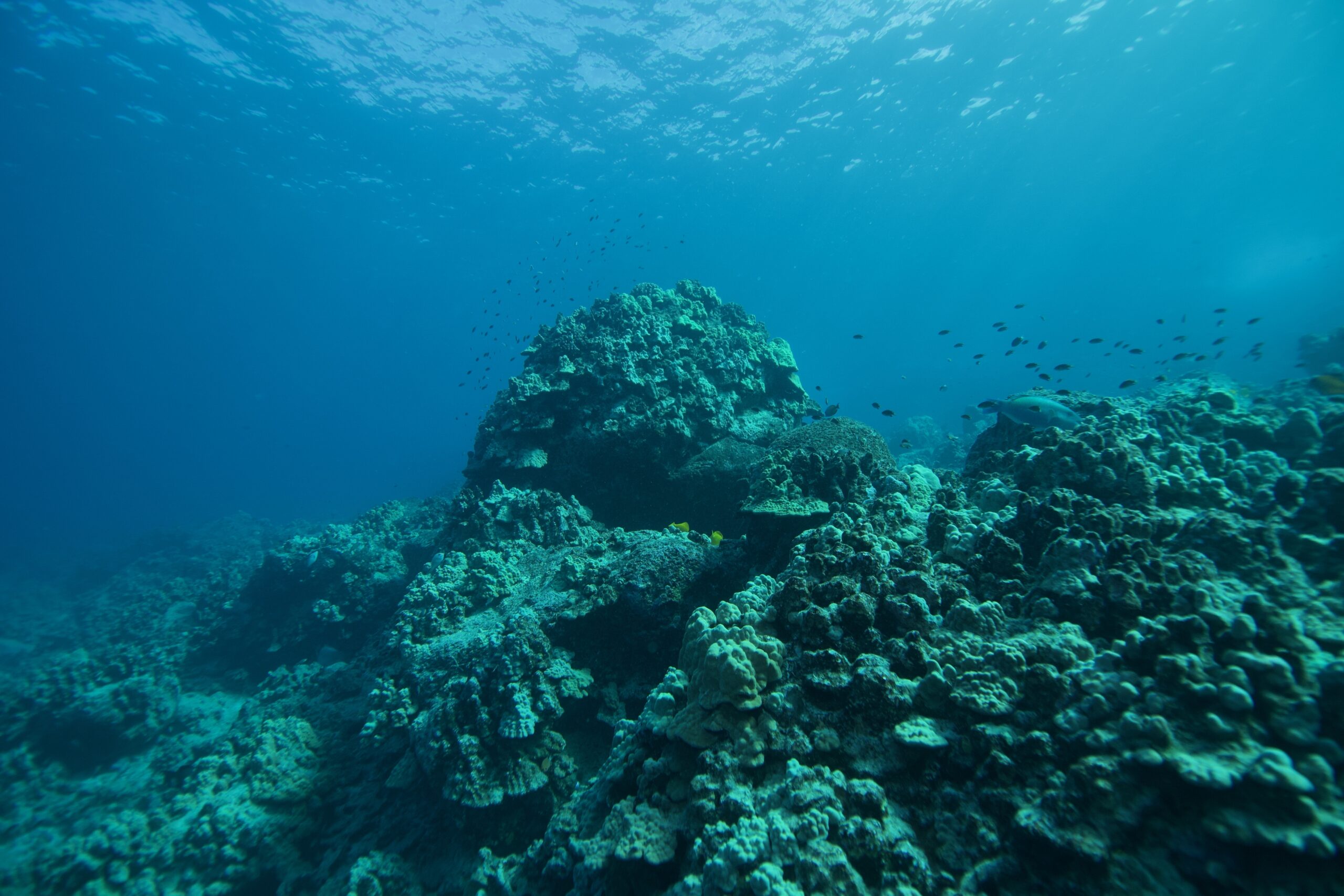 turning-up-ocean-temperature-volume-underwater-soundscapes-in-a